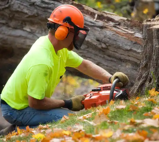 tree services Ronda